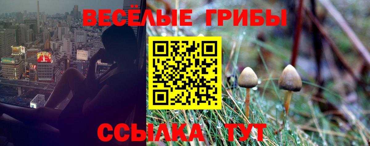 Псилоцибиновые грибы Cubensis  Вход с VPN  Пыть-Ях 